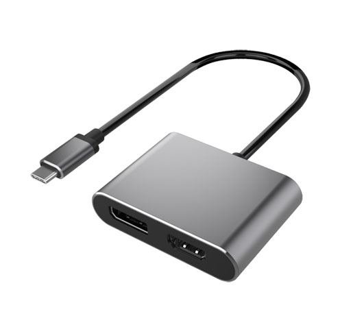USB-C 2-in-1 Multiport Video Adapter